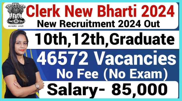 Clerk New Vacancy Recruitment 2024, Dates, Qualification, Age, Post, Apply Link